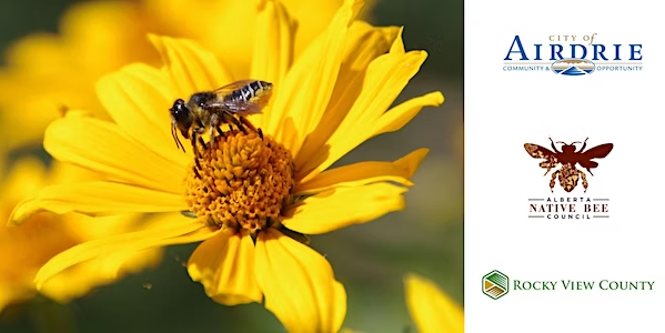 Rocky View County Bees 101 Webinar