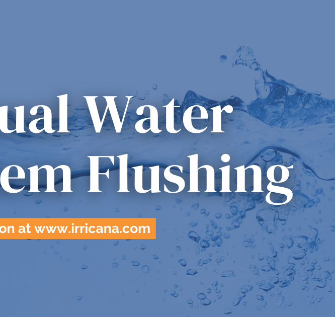 Annual Water System Flushing