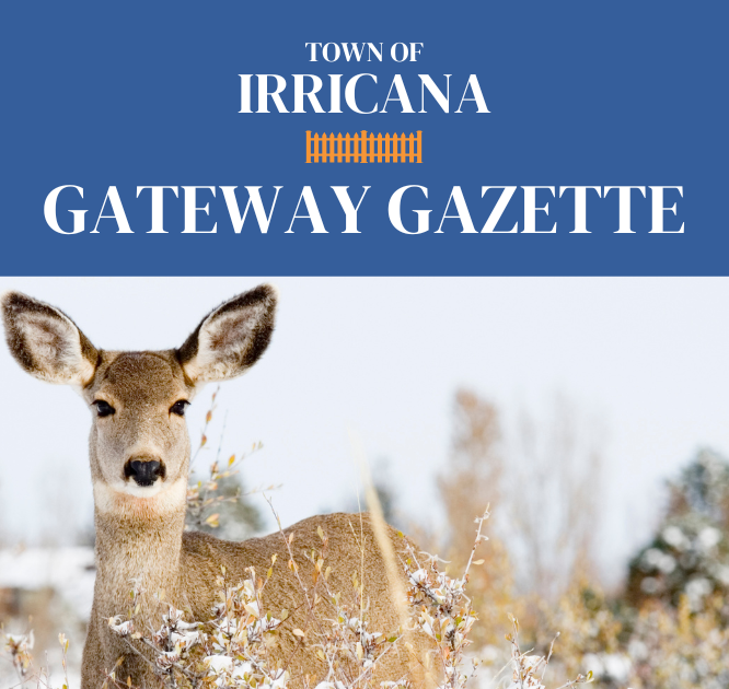 Irricana Gateway Gazette November 2024