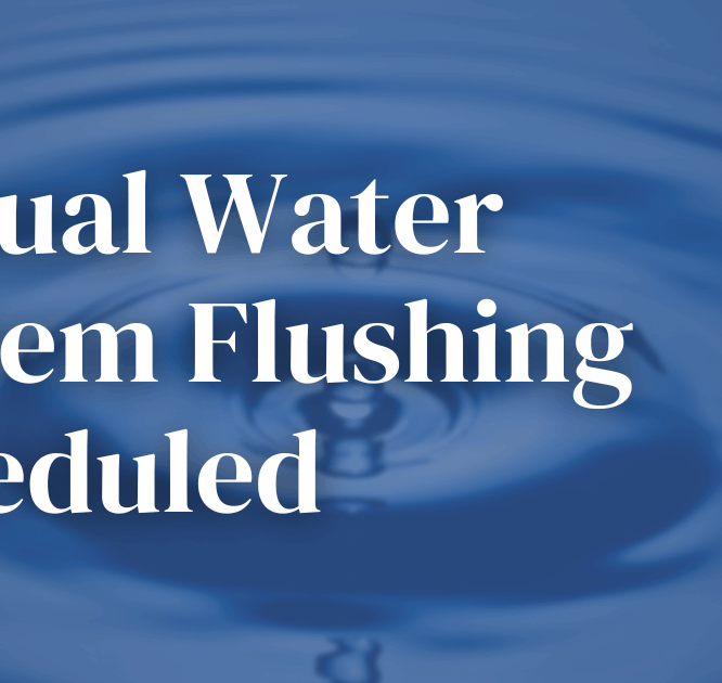 Water System Flushing Web Notice